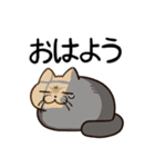 ブリショくうのスタンプ（個別スタンプ：9）