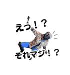 U-DASHスタンプ【知る人ぞ知るver.】（個別スタンプ：37）