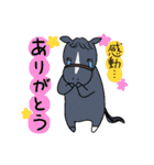 日常/競馬で使えるゆるい競走馬スタンプ2（個別スタンプ：3）