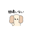 きゅーてぃーどうぶつスタンプ reject（個別スタンプ：36）