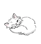 もふもふボディの白猫にゃんこ（個別スタンプ：21）