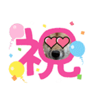 しばいぬみかちゃんスタンプ（個別スタンプ：22）