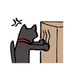 琥珀と銀次郎（個別スタンプ：13）