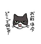 琥珀と銀次郎（個別スタンプ：21）