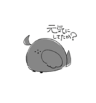 自称カッコイイカラスのPoi（個別スタンプ：3）
