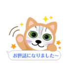 猫の挨拶スタンプ1（個別スタンプ：7）