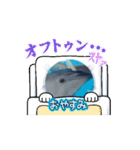 水族館スタンプ*（個別スタンプ：10）