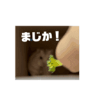 動くむなハム。（個別スタンプ：11）