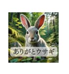 リアルな動物たちのあいさつスタンプ（個別スタンプ：6）