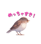 日使える鳥スタンプ - シロハラ（個別スタンプ：24）