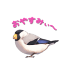 毎日使える鳥スタンプ - イカル（個別スタンプ：3）