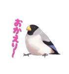 毎日使える鳥スタンプ - イカル（個別スタンプ：8）