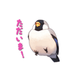 毎日使える鳥スタンプ - イカル（個別スタンプ：9）