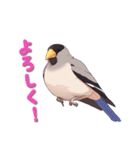 毎日使える鳥スタンプ - イカル（個別スタンプ：12）