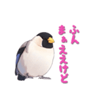 毎日使える鳥スタンプ - イカル（個別スタンプ：16）