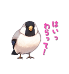 毎日使える鳥スタンプ - イカル（個別スタンプ：19）