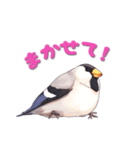 毎日使える鳥スタンプ - イカル（個別スタンプ：23）