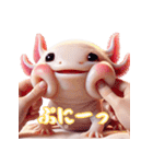 ウーパールーパー！超可愛い！3Dリアル（個別スタンプ：12）