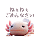 ウーパールーパー！超可愛い！3Dリアル（個別スタンプ：25）