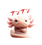 ウーパールーパー！超可愛い！3Dリアル（個別スタンプ：37）