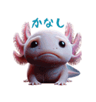 ウーパールーパー！超可愛い！3Dリアル（個別スタンプ：38）