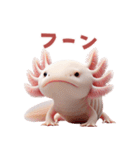 ウーパールーパー2！関西弁！3Dリアル（個別スタンプ：10）