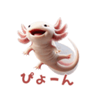 ウーパールーパー2！関西弁！3Dリアル（個別スタンプ：12）