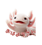 ウーパールーパー2！関西弁！3Dリアル（個別スタンプ：13）