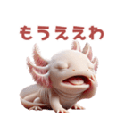 ウーパールーパー2！関西弁！3Dリアル（個別スタンプ：17）
