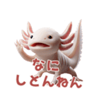 ウーパールーパー2！関西弁！3Dリアル（個別スタンプ：21）