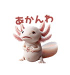 ウーパールーパー2！関西弁！3Dリアル（個別スタンプ：24）