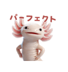 ウーパールーパー2！関西弁！3Dリアル（個別スタンプ：38）