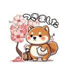 春の挨拶♪しばいぬの「すやきち」（個別スタンプ：3）