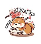 春の挨拶♪しばいぬの「すやきち」（個別スタンプ：6）