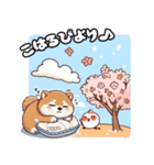 春の挨拶♪しばいぬの「すやきち」（個別スタンプ：13）
