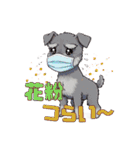 シュナウザー カラフルスタンプ 春＆日常編（個別スタンプ：2）