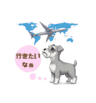 シュナウザー カラフルスタンプ 春＆日常編（個別スタンプ：4）
