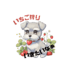 シュナウザー カラフルスタンプ 春＆日常編（個別スタンプ：7）