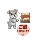 シュナウザー カラフルスタンプ 春＆日常編（個別スタンプ：9）
