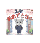 シュナウザー カラフルスタンプ 春＆日常編（個別スタンプ：12）