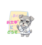シュナウザー カラフルスタンプ 春＆日常編（個別スタンプ：19）