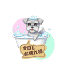 シュナウザー カラフルスタンプ 春＆日常編（個別スタンプ：28）