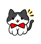 猫スタンプ ハチワレくん（個別スタンプ：2）