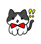 猫スタンプ ハチワレくん（個別スタンプ：6）