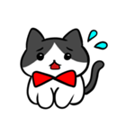 猫スタンプ ハチワレくん（個別スタンプ：7）