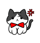猫スタンプ ハチワレくん（個別スタンプ：16）
