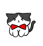 猫スタンプ ハチワレくん（個別スタンプ：17）