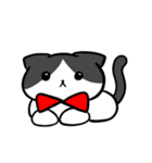 猫スタンプ ハチワレくん（個別スタンプ：29）