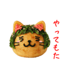 ねこ焼き、関西弁で一言（個別スタンプ：5）