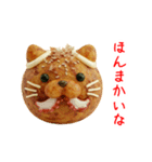 ねこ焼き、関西弁で一言（個別スタンプ：8）